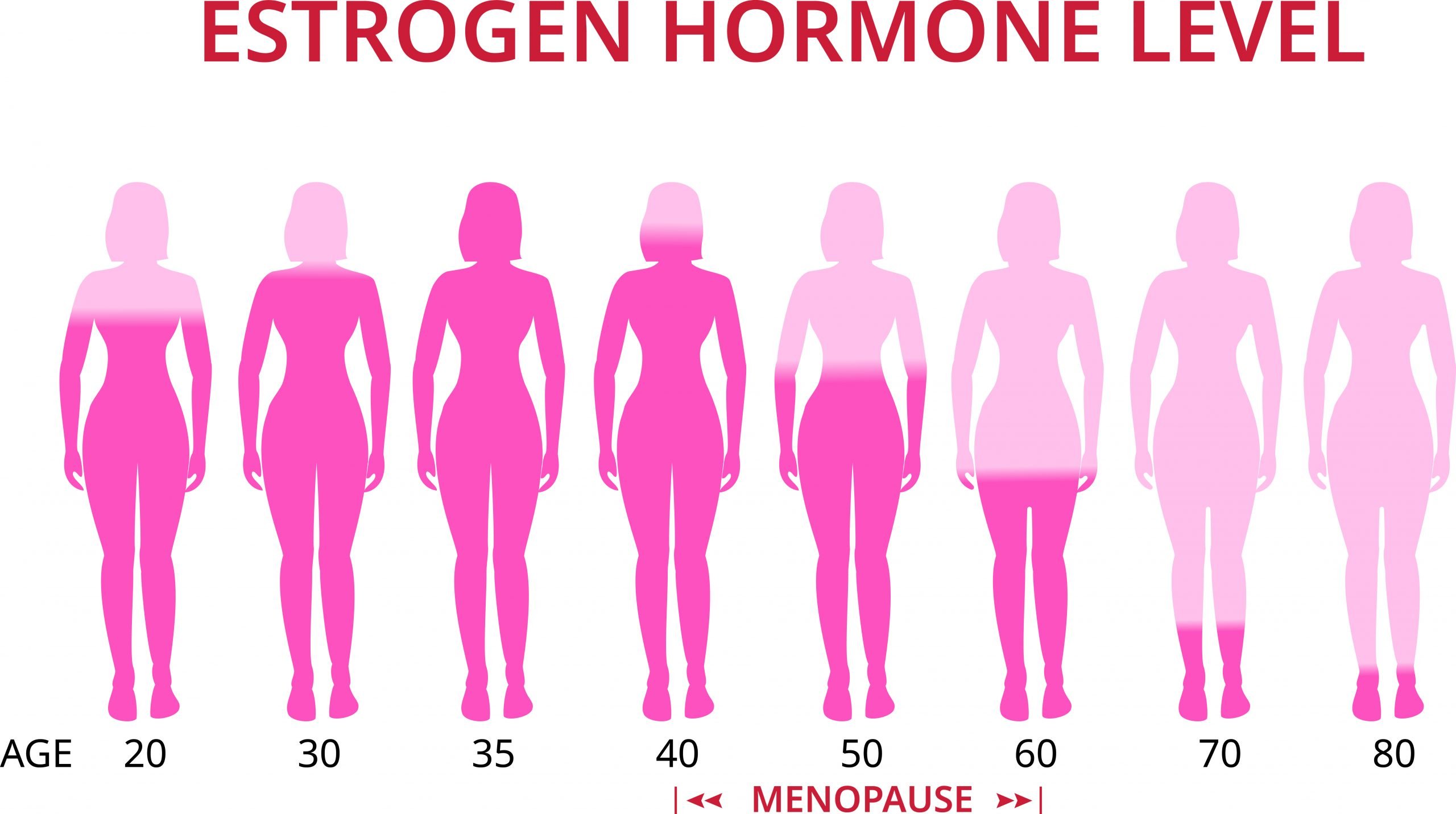 image of estrogen level in women